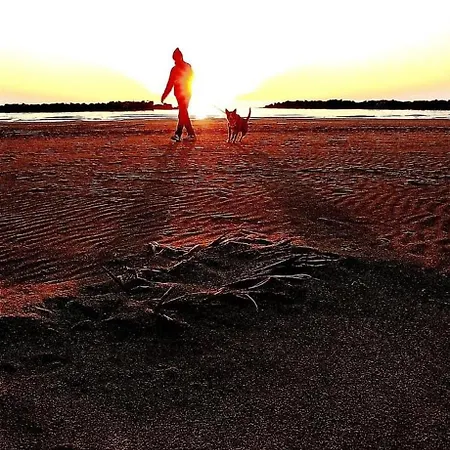 アパート La Fabbryca Porto SantʼElpidio