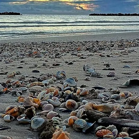 La Fabbryca アパート *