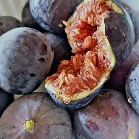 La Fabbryca アパート