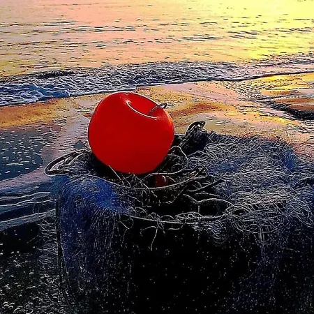 La Fabbryca Appartamento Porto SantʼElpidio