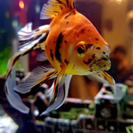 La Fabbryca Porto SantʼElpidio